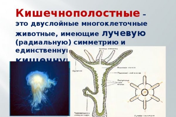 Как найти кракен в торе