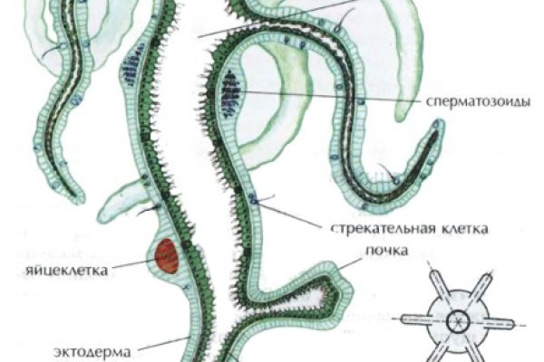 Кракен макет плейс