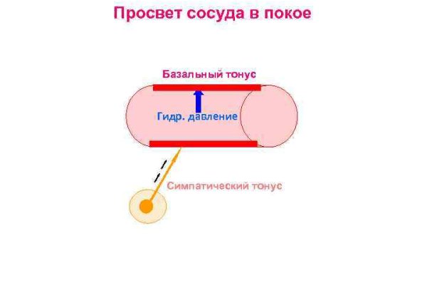 Ссылка на кракен в тор браузере