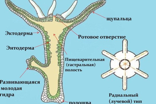 Кракен рабочая ссылка на официальный магазин