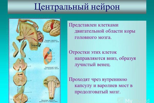 Kraken darknet зеркала